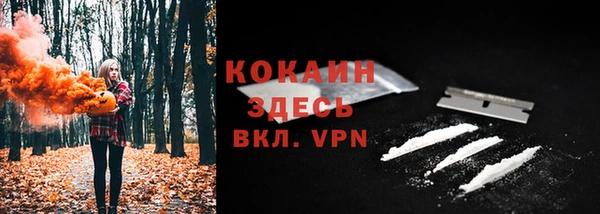 спиды Абаза