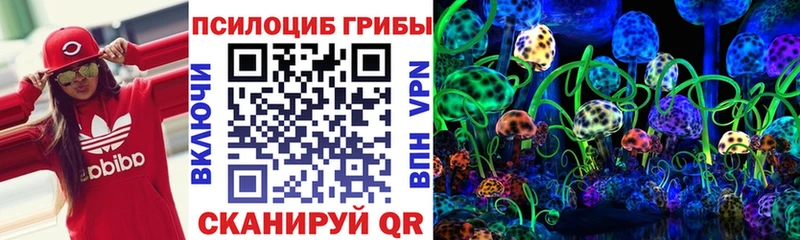 Галлюциногенные грибы Cubensis  Туран 